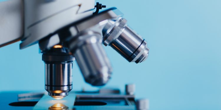 Bioptimus, naissance d’un géant de l’IA en biologie avec 32 millions d’euros