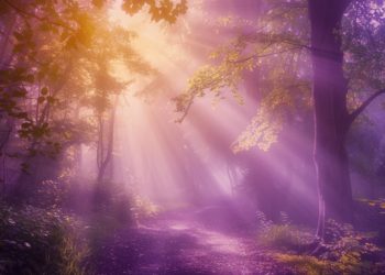 Comment reproduire l’effet Orton avec Midjourney ?