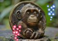 Likes, nouvelle monnaie de singe numérique ?