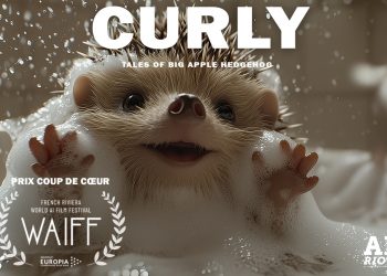 La tendresse d’un hérisson frisé séduit le World AI Film Festival