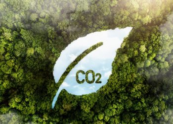L’IA et les datas au service de la décarbonation