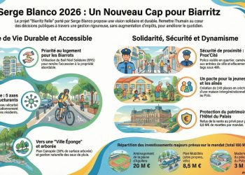 Structurer une infographie avec Google NotebookLM