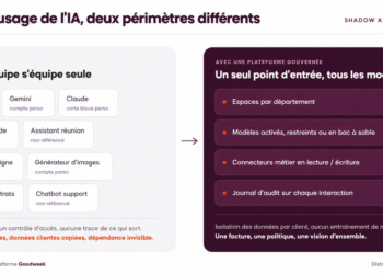 Qui va administrer l’IA sauvage des entreprises ?